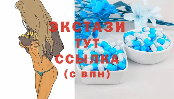 прущий лед Новозыбков
