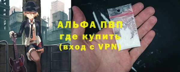 гидра Няндома