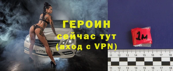 гидра Няндома