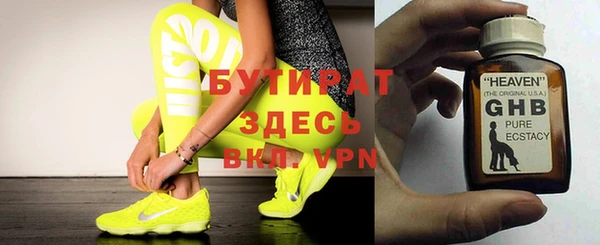 гидра Няндома
