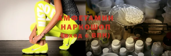 гидра Няндома