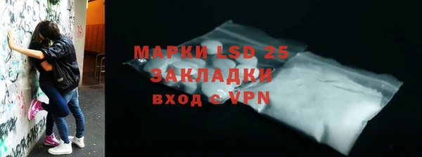 PSILOCYBIN Нязепетровск