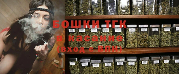 гидра Няндома