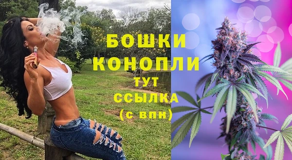 гидра Няндома