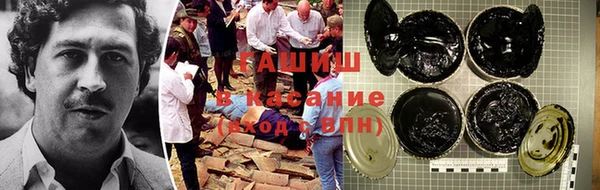 гидра Няндома
