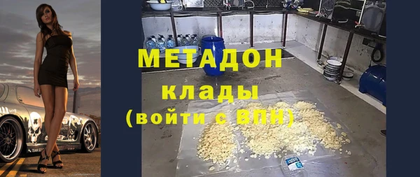 гидра Няндома