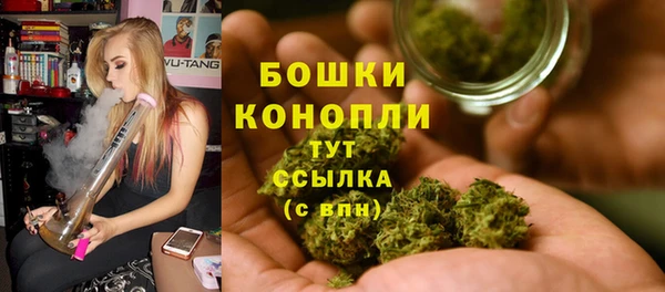 гидра Няндома