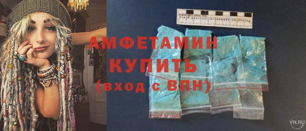 гидра Няндома