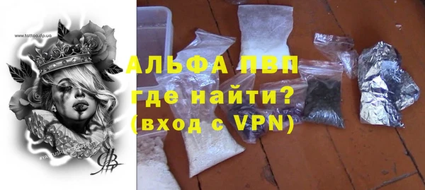 PSILOCYBIN Нязепетровск