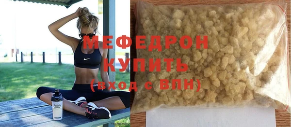 гидра Няндома