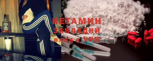 гидра Няндома