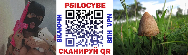 OMG сайт Фокино Галлюциногенные грибы ЛСД