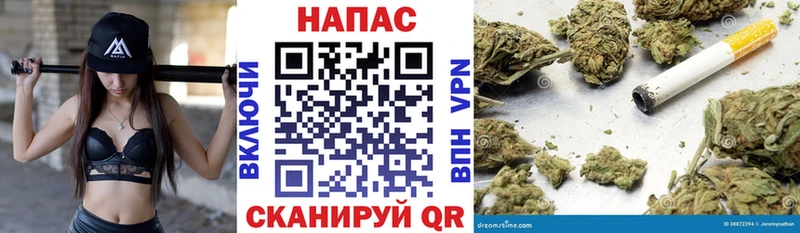 МАРИХУАНА план  Фокино 